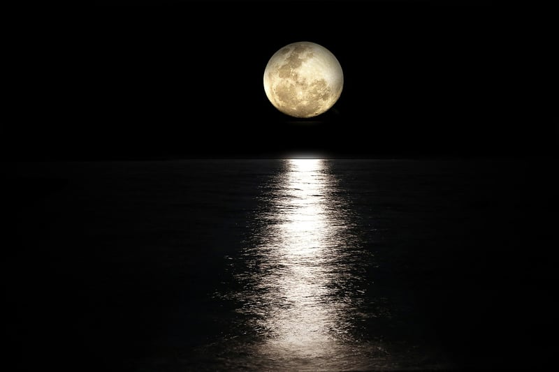 Lunar Love Songs
